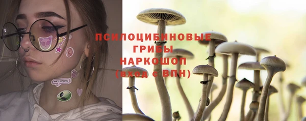 соль курить ск Липки