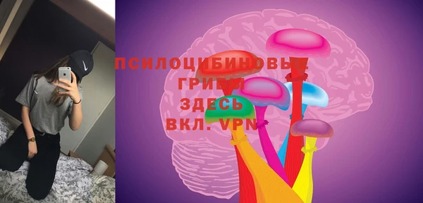 прущая мука Лабытнанги