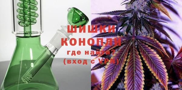 PSILOCYBIN Ладушкин