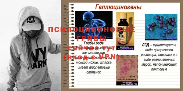 PSILOCYBIN Ладушкин