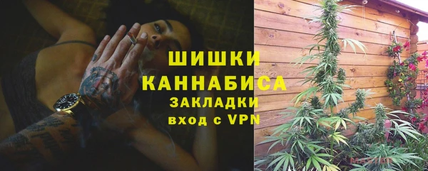 PSILOCYBIN Ладушкин